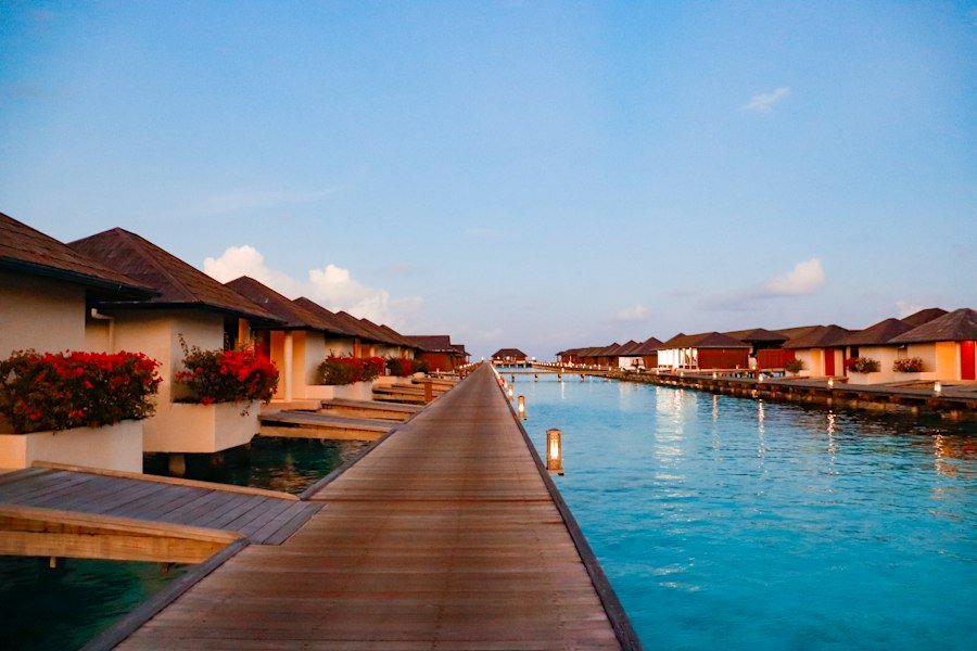 luxury hotels exclusive resorts premium stays